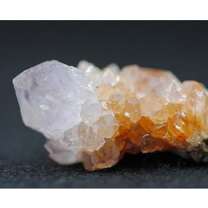 カクタス・クォーツ サボテン水晶 約27g 南アフリカ産 l5235 : TAMICHI