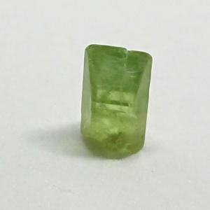 ペリドット 　パキスタン産　結晶　約0.7g   Q4225｜tamichi