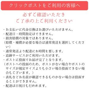 シューケース Ladys メッシュタイプ ダン...の詳細画像3
