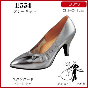 ダンスシューズ レディース シルバーキット/E551 スタンダード ダンスシューズ レディース シルバーキット/E551 スタンダード