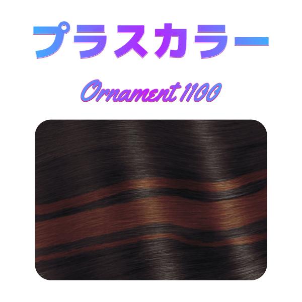 プラスカラー　1100　立ち上がり前髪オーナメント専用　ミックス・メッシュの追加オプション