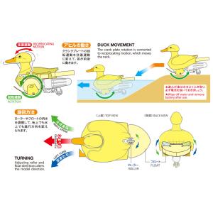タミヤ (69946) 歩いて泳ぐアヒル工作セ...の詳細画像4