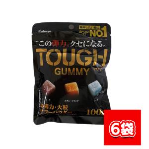 カバヤ食品 タフグミ 100g 6セット　