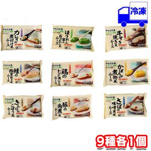 ヤヨイサンフーズ ソフリ 介護食 主菜・副菜9品セット 冷凍 ムース