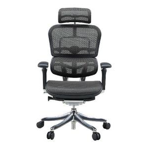 新品　Ergohuman Pro エルゴヒューマン　プロ　ハイタイプ EHP-HAM