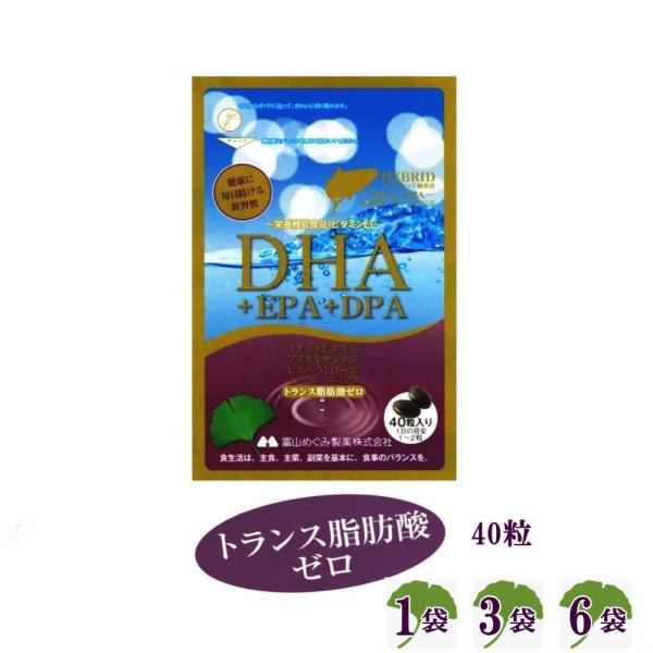 DHA EPA オメガ3 サプリ 1個 3個 6個 DPA 青魚 イチョウ葉 エゴマ油 アマニ油 レ...