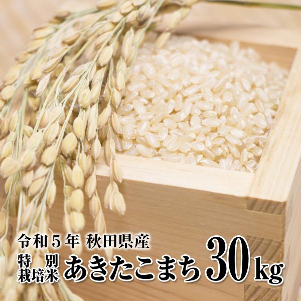 あきたこまち 玄米30kg(精米後27kg) 令和5年秋田県産