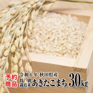 【新米予約】あきたこまち 玄米30kg（精米後27kg）  令和6年産