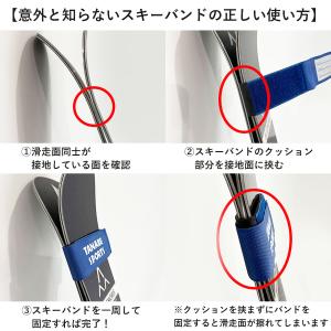 TANABE SPORTS オリジナルスキーバ...の詳細画像2