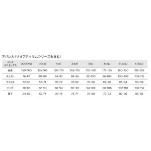 スキーウェア ゴールドウイン メンズ スキージ...の詳細画像5