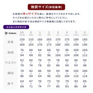 【早期予約】Goldwin ゴールドウイン ス...の詳細画像3