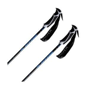 SWIX〔スウィックス スキー ポール・ストック〕＜2021＞コブラ