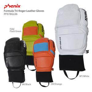 P10倍!12/23〜 要エントリー スキー グローブ メンズ