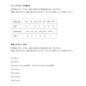 HESTRA ヘストラ スキー グローブ キッ...の詳細画像5