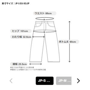 スキーウェア スキーパンツ パンツ フェニック...の詳細画像4