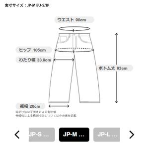 スキーウェア スキーパンツ パンツ フェニック...の詳細画像5