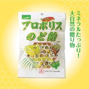 ミネラルたっぷり大自然の贈り物 プロポリス入りのど飴 100g