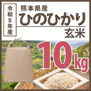 玄米 令和5年産 熊本県ひのひかり 10kg