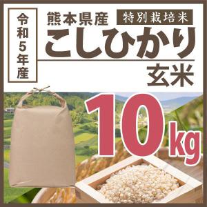 【特別栽培米】玄米 令和5年産 熊本県こしひかり 10kg