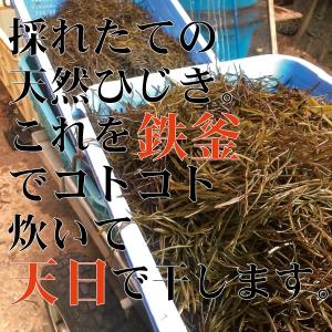 和歌山県産 鉄釜ひじき 保存食 100g入 送...の詳細画像3