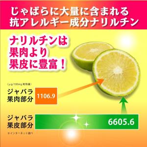 じゃばら 花粉症 花粉症対策 花粉症対策グッズ...の詳細画像1