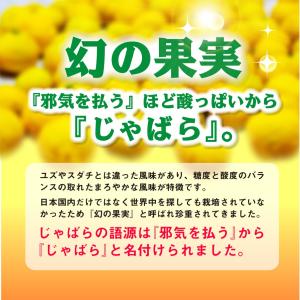 じゃばら 花粉症 花粉症対策 花粉症対策グッズ...の詳細画像2