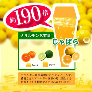 じゃばら 花粉症 花粉症対策 花粉症対策グッズ...の詳細画像3