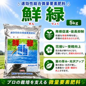 鮮緑　水溶性マグネシウム15％・マンガン7％・水溶性ほう素1％・キレート鉄0.5％・微量要素　混合微量要素肥料　光合成強化　なり疲れの緩和