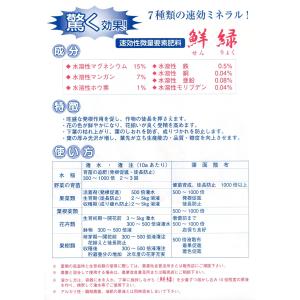 鮮緑 水溶性マグネシウム15%・マンガン7%・...の詳細画像4