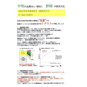 鮮緑 水溶性マグネシウム15%・マンガン7%・...の詳細画像5