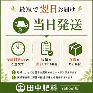 殺菌剤 ケミクロンG 500gの詳細画像2