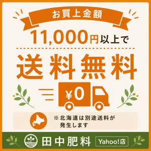 殺菌剤 ケミクロンG 500gの詳細画像3