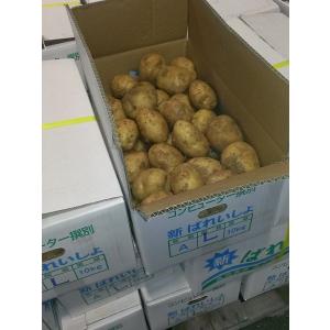 新じゃがいも(じゃがいも) 九州各県産 1ケー...の詳細画像1