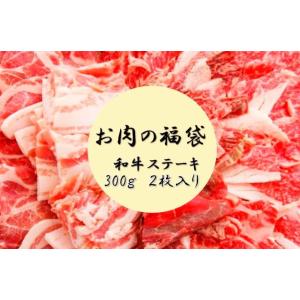 特選和牛ステーキ肉袋★送料無料（※北海道・沖縄・特殊地域除く）福袋/メガ盛り