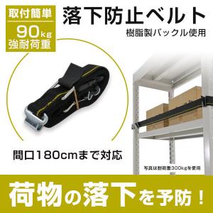 落下防止ベルト　タナガード　樹脂バックル（荷重90kgまで,ベルト幅25mm）｜tanasize