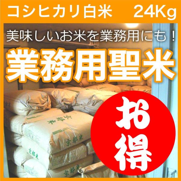 【令和5年産白米】業務用聖米【コシヒカリ100%】単一原料米　24Kg