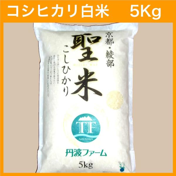 【令和7年産】コシヒカリ 100% 聖米5kg【白米】