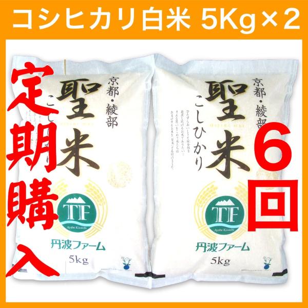 割引価格（定期購入6回）【令和5年産】コシヒカリ 100% 聖米5kg×2袋【白米】