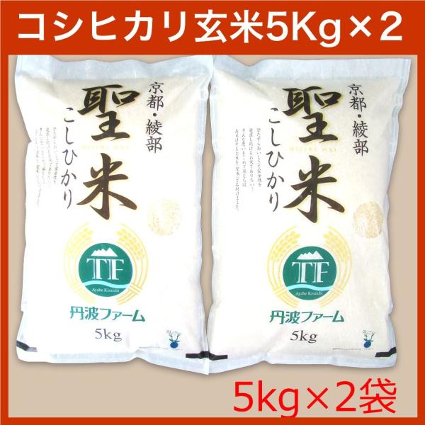 【令和5年産】コシヒカリ 100% 聖米5kg×2袋【玄米】