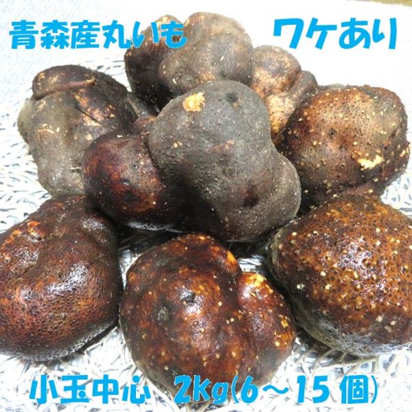 当店最安値 青森産 丸いも つくね芋 ワケあり ２kg (6〜15個) 毎日 お手頃 健康