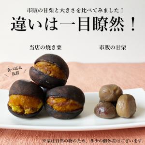 丹波焼き栗 丹波栗 和菓子 栗スイーツ 230...の詳細画像2