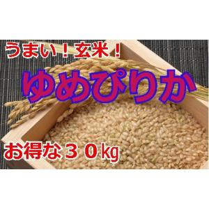 【うまい玄米】ゆめぴりか 30kg 北海道 農家直販 田んぼや 神田ファーム 送料無料｜tanboya-kanda