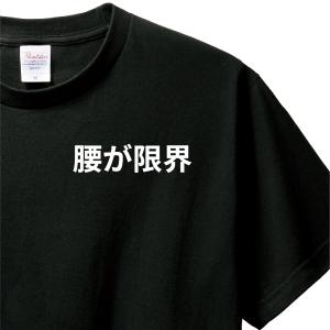 おもしろTシャツ Tシャツ ロンT 対応 服縁コンパクト 落款なし ほめて