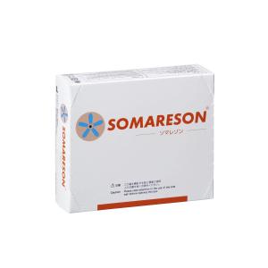 ソマレゾン L 100個入 : ビューティギャラリーこばやし - 通販 - Yahoo