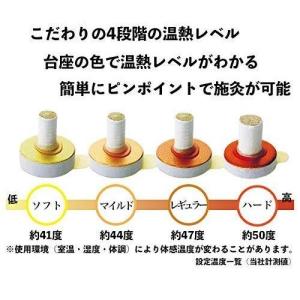 お灸 アイクレイ 和(1000壮)の詳細画像2