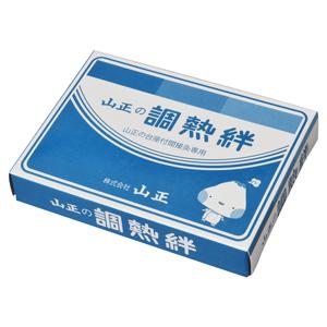 テクノリンク シェイプリフト スリムビューティハウス EMS Shape lift