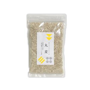 自然栽培 丸麦(200g)★無肥料・無農薬★自然栽培の大麦を昔ながらの精麦機で丸麦に♪グルテンが少なくあっさり♪栄養豊富な雑穀米★｜tanechips