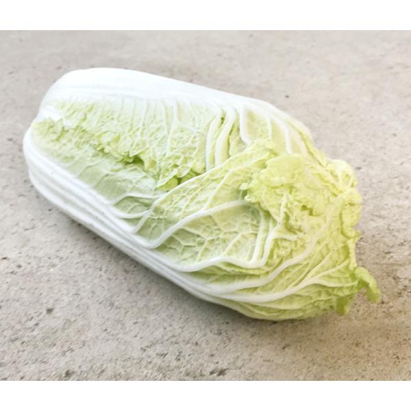 自然栽培 ミニ白菜 １個300g前後　千葉県産　20年以上、無肥料・無農薬野菜作りの名人が作った、娃...