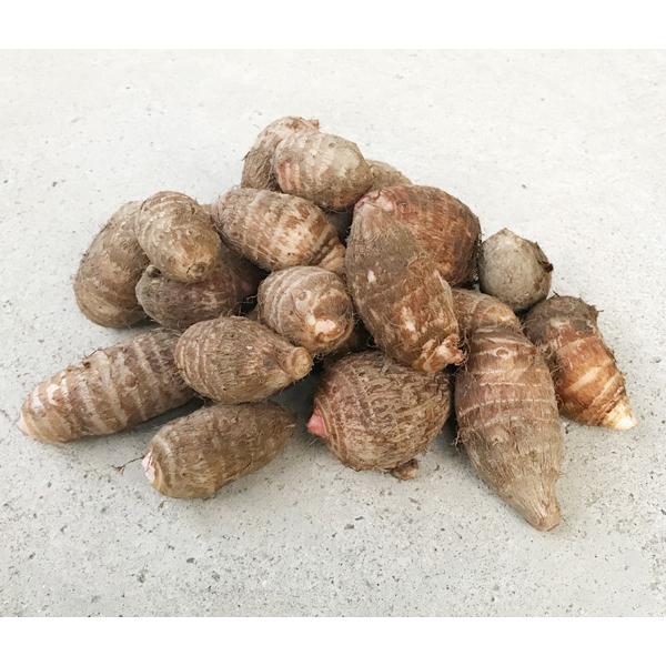 自然栽培 里芋 1kg　熊本県産 無肥料 無農薬 鹿や猪が現れる環境の良い地で30年以上農薬も肥料も...