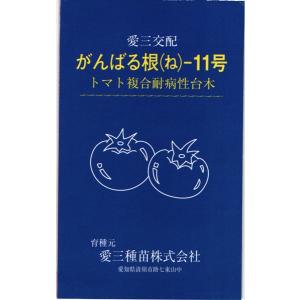 トマト台木 種<br> 『がんばる根11号』  愛三種苗/100粒｜tanehyo